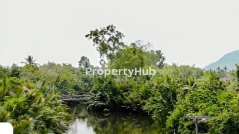 ដីជាប់ទឹកលក់ធូរថ្លៃ