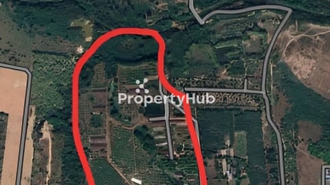 ដីលក់20ហិចតា តលៃ​16$/m2