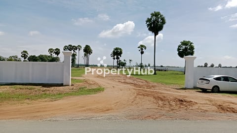 ដីលក់បន្ទាន់ជាប់ផ្លូវកៅស៊ូខ្នាតរោងចក្រ