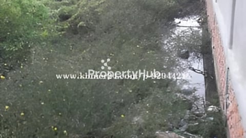 ដីឡូរលក់បន្ទាន់នៅជិតបុរីពិភពថ្មីឈូកមាស