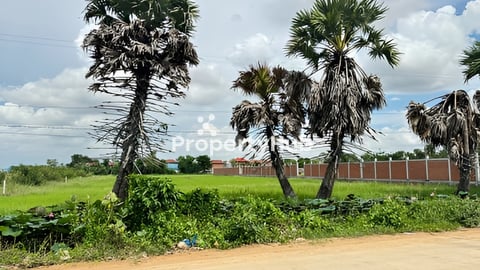 លក់បន្ទាន់ខ្លាំង