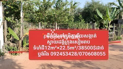 ដីលក់ភូមិភ្ញាជ័យសង្កាត់ស្វាយដង្គំក្រុងសៀមរាបចូលតាមផ្លូវផ្ទះទ្រីដាណា12m×22.5m/385