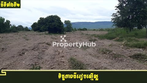 ដីលក់បន្ទាន់ជាប់ផ្លូវកៅស៊ូ ជិតព្រលានថ្មីសៀមរាប