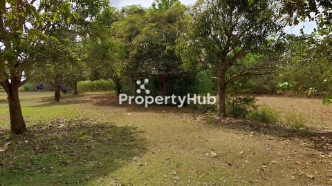 ដីលក់បន្ទាន់(ជិតព្រំប្រទល់វៀតណាម)