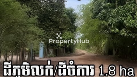 ដីលក់