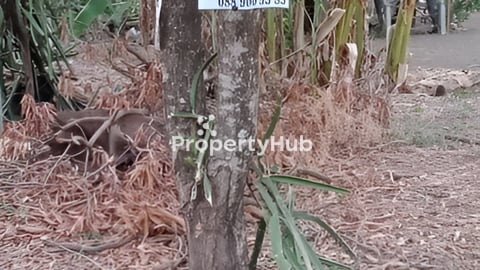 ដី​​(ប្លង់រឹង​)14.1x48​ ជាប់​ផ្លូវ​ជាតិ​​ 2500/ម៉ែត្រ​ក្បាលដី​ តម្លៃ​​ចរចារ​