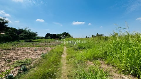 ដីលក់បន្ទាន់! នៅជិតផ្សារចុងព្រែក សង្កាត់ព្រែកឯង ច្បារអំពៅ