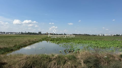 ដីលក់នៅក្រោយវត្តក្រាំងធ្នង់ ជាប់វត្តបញ្ញាធំ