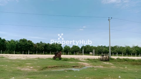 ដីលក់បន្ទាន់ក្រោយបុរីTLLផ្លូវ៥១