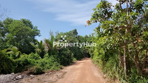 URGENT Land for sale (បន្ទាន់)