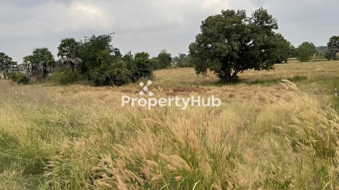 ដី លក់បន្ទាន់