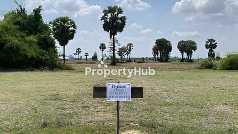 🟢 ដីស្រែ 27អារ លក់ម៉ៅ 💰 តម្លៃចរចា!