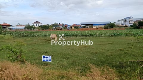 ដីក្រោយផ្សារបាត់ដឹង លក់បីឡូតិ៍ជាប់គ្នាចំងាយ 300 ម៉ែត្រ 5*20