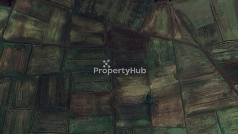 ដីសែលក់