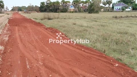 ដីលក់ទំហំ​ 10x49m ក្នុងខេត្តសៀមរាប​