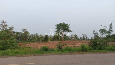ដីលក់៤៣.០៨ហិចតានៅសៀមរាមផ្លូវ៦៤