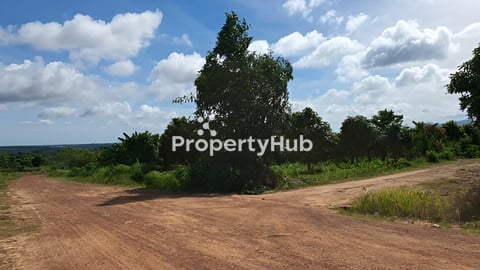 លក់ដីចំការ 4.5ha (ទីតាំងល្អ ក្បែរភ្នំ ជិតស្ទឹង ផ្លូវស្អាត)