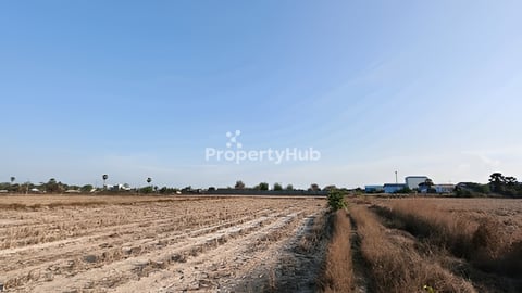 ដីលក់បន្ទាន់ ក្រោមទីផ្សារ