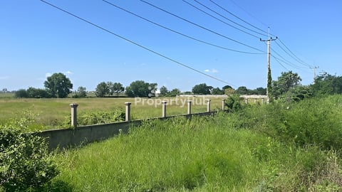 ដីលក់ (ផ្លូវកប់ស្រូវ)សង្កាត់គោករកា ខណ្ឌព្រែកព្នៅ