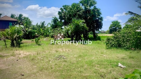 ដីលក់បន្ទាន់ 10x32m