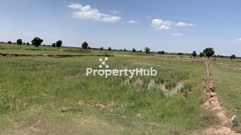 ដីលក់នៅម្តុំពហុកីឡាដ្ឋានជាតិមរតកតេជោ (លីយ៉ុងផាត់) សួនសត្វភ្នំពេញសាហ្វារី។