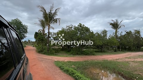 ជាប់ផ្លូវ 30m ទឹក+ភ្លើងរដ្ធ ខ្នាត 10m x 38m លក់ 9500$ នៅក្រោយផ្សារត្រពាំងកណ្ដើកផ