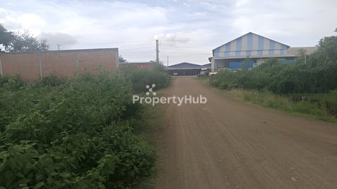 ដីលក់ផ្សារប្រមោយ លក់បន្ទាន់ខ្លាំងណាស់