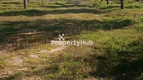 ដីចំការលក់ទំហំ 166000m2 (16.6ha) តំលៃ $2.5/m2