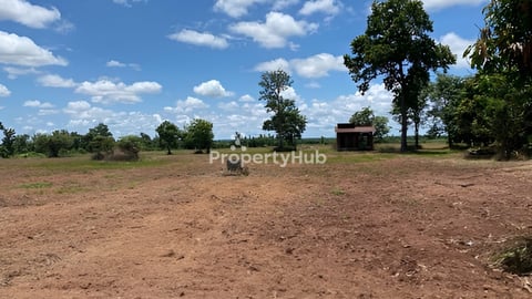 តំលៃពិសេស