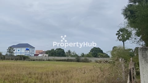 ដីស្រែម្ចាស់ដើមលក់បន្ទាន់ តម្លៃក្រោមទីផ្សារ