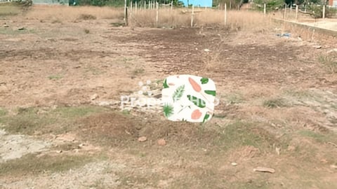 ដីលក់ជាប់តំបន់រោងចក្រនៅសាលាលេខ 5