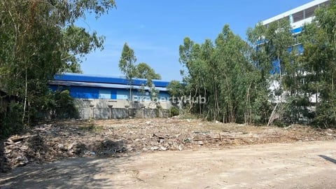 ដីលក់បន្ទាន់ ក្បែរផ្សារKC ជិតផ្លូវ105K និងបុរីOrkide ពោធ៏នចិនតុង