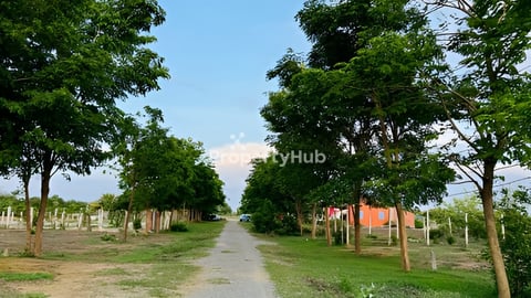 ដីលម្ហែប្លង់រឹង លក់ធូរថ្លៃ ក្បែរក្រុង