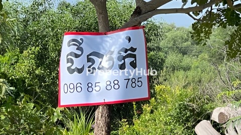 ដី​លក់ខាត​ដេីម15000$