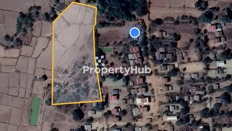 ដីលក់​ទំហំ១ហិចតា​ ១ម៉ែត្រការ៉េ 5.5$