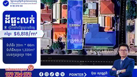 ដីនិងផ្ទះលក់នៅលើផ្លូវព្រះមុនីវង្ស