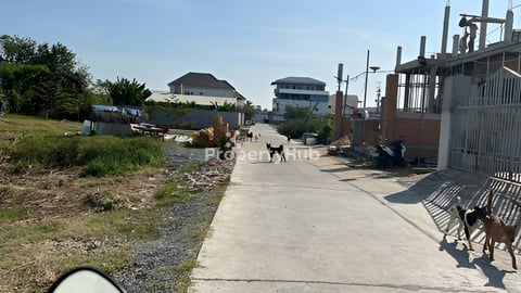 Urgent land for sale at takmhao