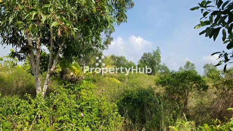 ដីលក់តម្លៃក្រោមទផ្សារ - Land below market price