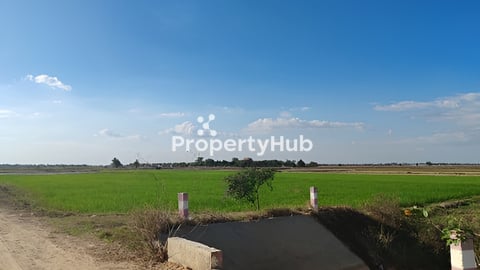 ដីកសិកម្មលក់បន្ទាន់ 9ហត