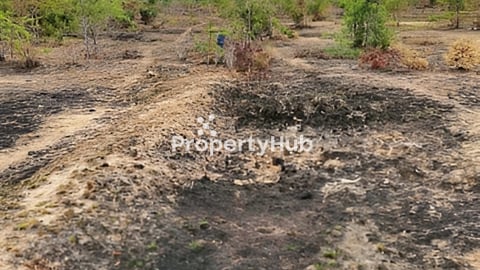 ដី៣ហិចតាកន្លះសម្រាប់ជួល