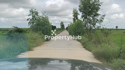 ដីអង្គស្នួល លើផ្លូវបេតុងរដ្ឋ លក់ប្រញាប់