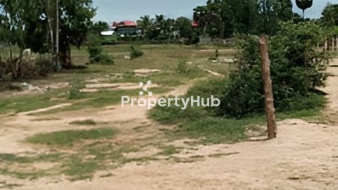 ដីលក់ប្រញាប់ ជិតវីឡាទោល CS and KP Morn Dany ជិតផ្សារ​បាត់ដឹង