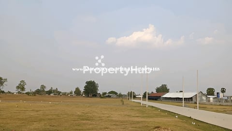 ជាប្រភេទដីឡូត៍