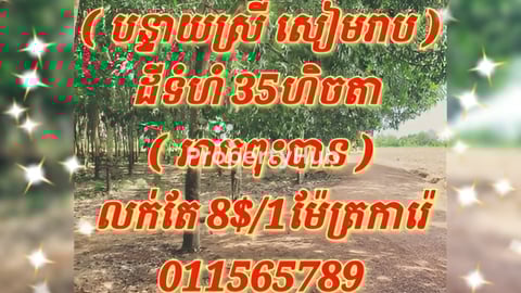 ដីលក់