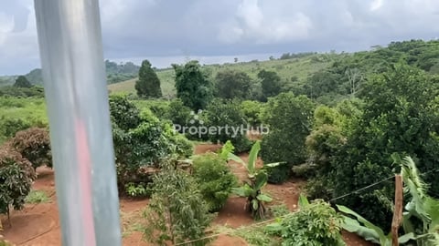 ដីនឹងផ្ទះលំហែលលក់ប្រញាប់លុយ