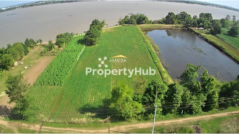 ដីលក់បន្ទាន់ក្នុងតំលៃល្អ !