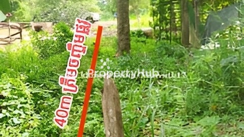 លក់ ដី ឬ ដូរជាមួយឡាន