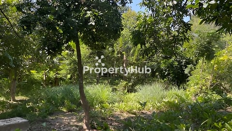 ដីលក់ក្រុងក្រុងបាត់ដំបង