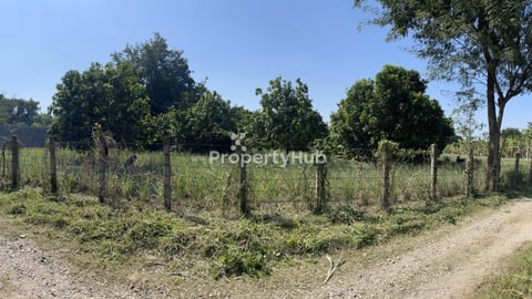 ដីចំការលក់បន្ទាន់ 33m x 100m