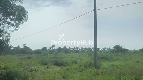 ដីលក់បន្ទាន់ ជាប់ផ្លូវរដ្ឋ ៣០ម៉ែត្រ